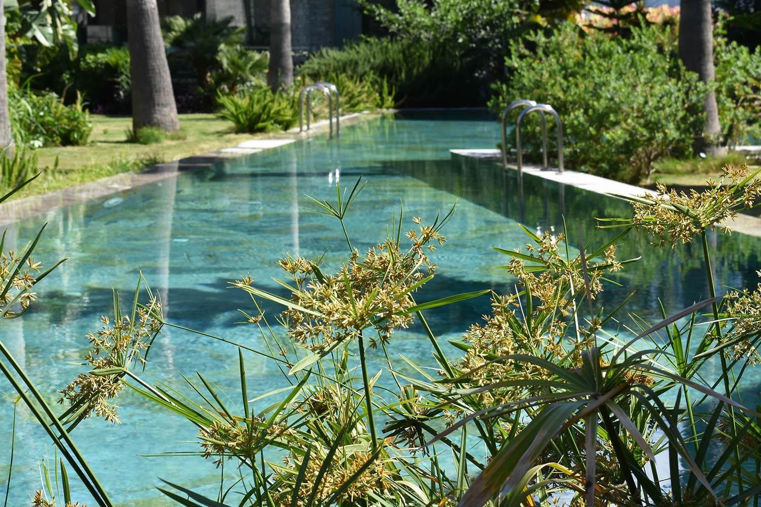 Pool mit tropischer Bepflanzung – Landschaftsdesign Villa