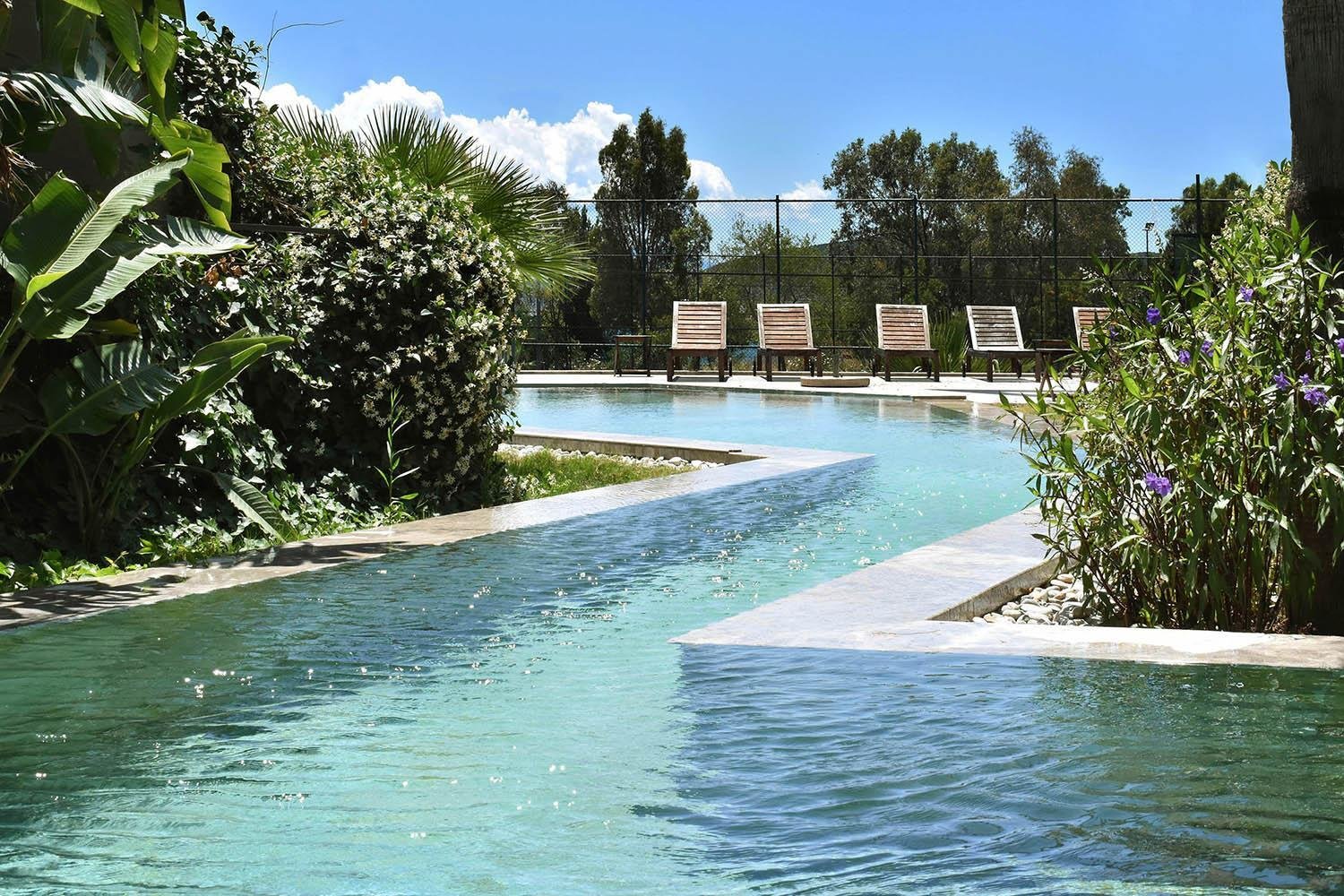 Pool mit Pflanzeninsel – Landschaftsarchitektur Detail
