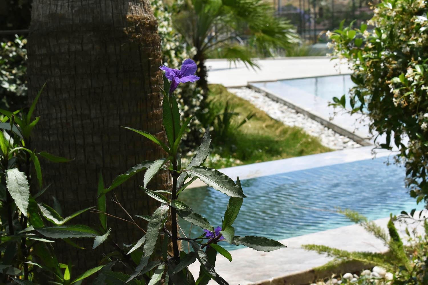 Garten mit Wasserlauf – Außengestaltung Villa Projekt