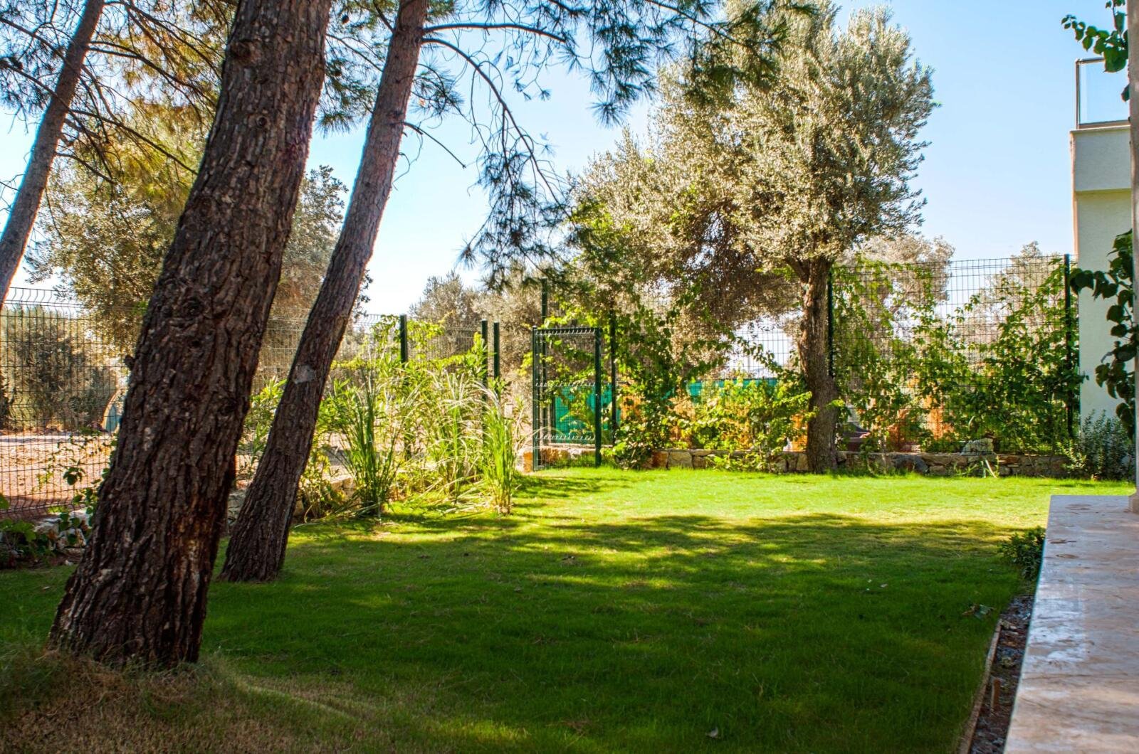 Amazon Häuser Bodrum – Garten zwischen Kiefernwald Konacık