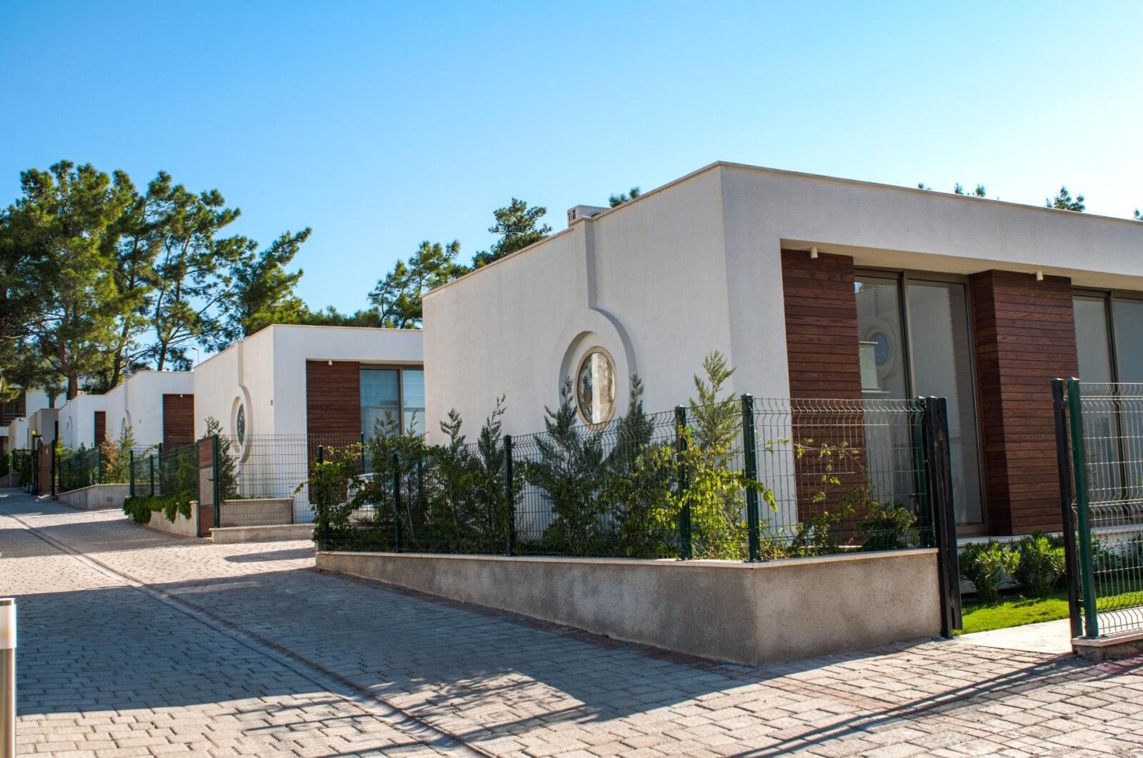 Amazon-Bodrum